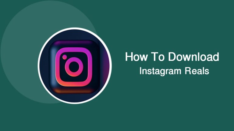 Instagram Reels Video Download Online