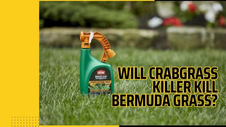 Will Crabgrass Killer Kill Bermuda Grass