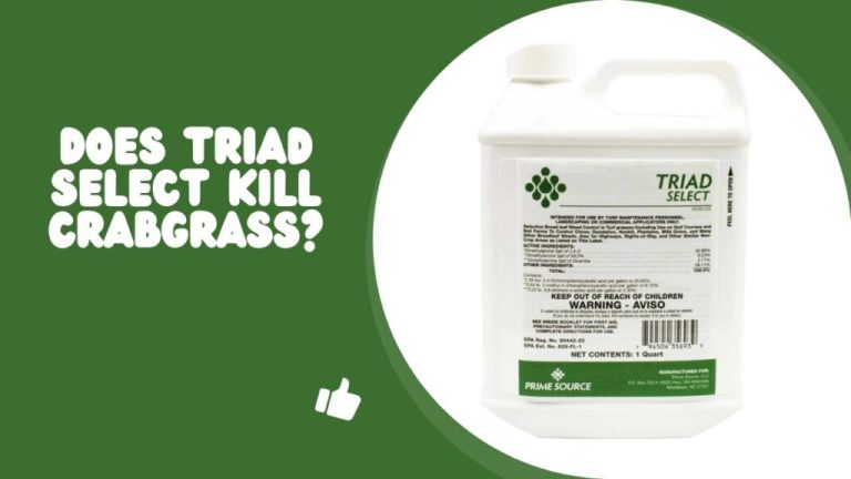 Does Triad Select Kill Crabgrass